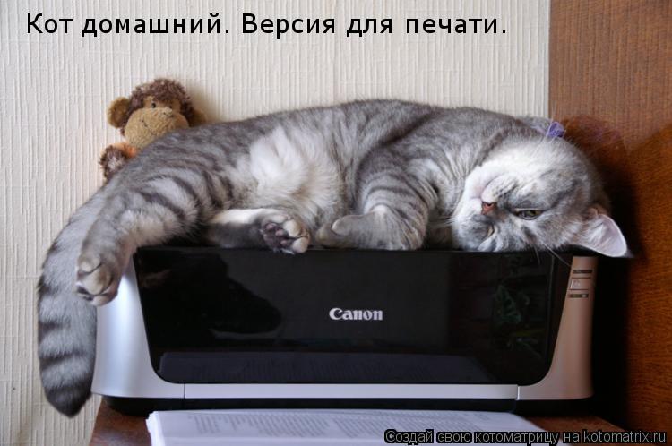 Котоматрица: Кот домашний. Версия для печати.
