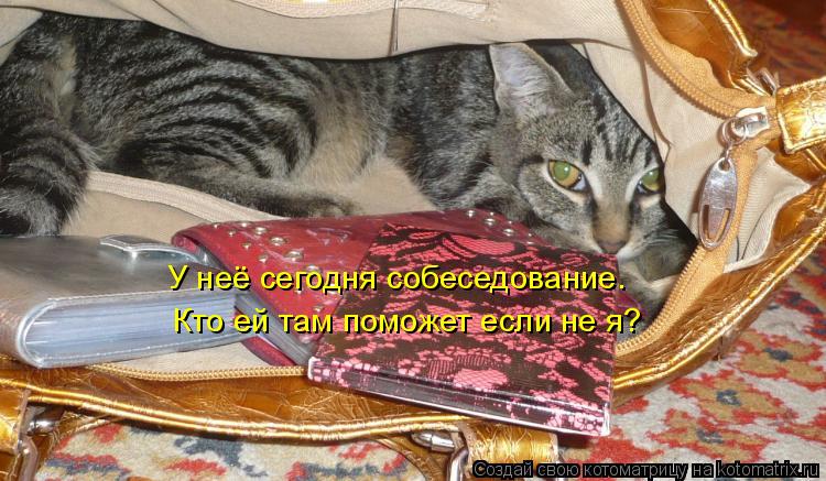 У неё сегодня собеседование. Кто ей там поможет если не я?... Котоматрица: У неё сегодня собеседование. Кто ей там поможет если не я?