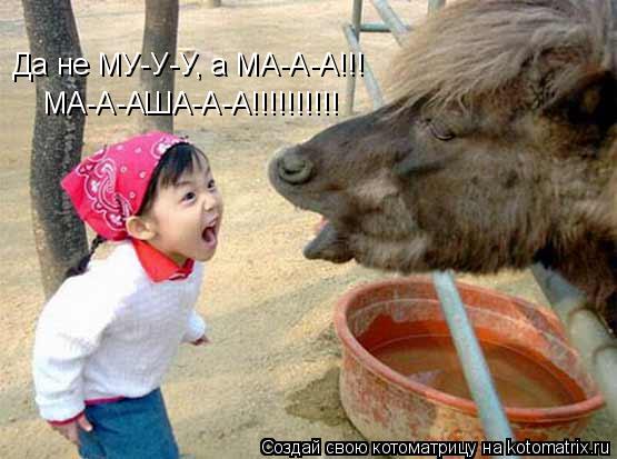 Да не МУ-У-У, а МА-А-А!!! МА-А-АША-А-А!!!!!!!!!!... Котоматрица: Да не МУ-У-У, а МА-А-А!!! МА-А-АША-А-А!!!!!!!!!!