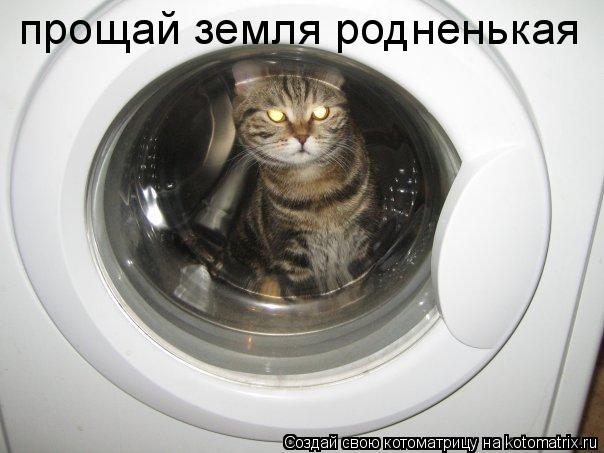 Котоматрица: прощай земля родненькая