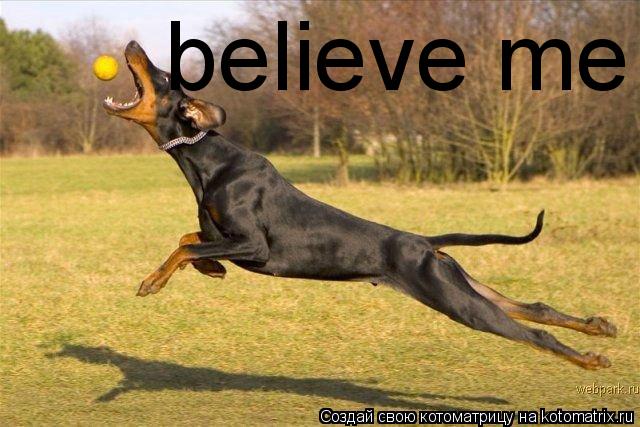 Котоматрица: believe me