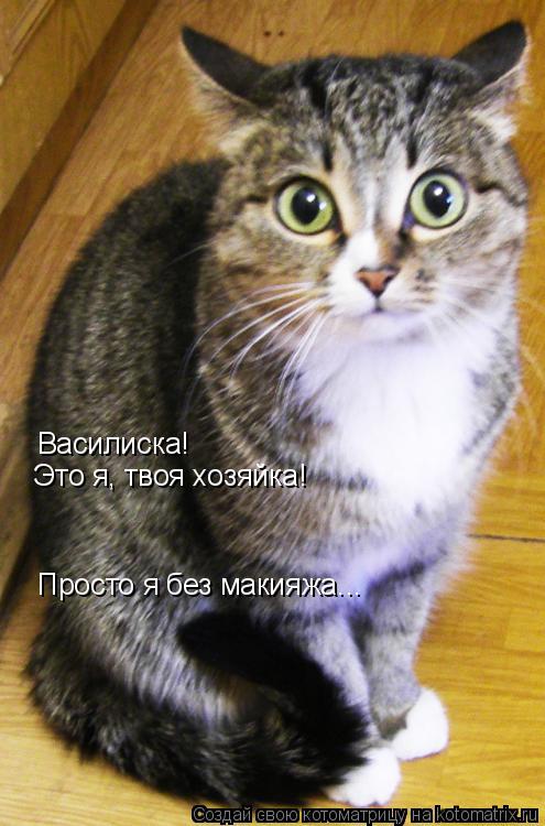 Котоматрица: Василиска! Это я, твоя хозяйка! Просто я без макияжа...