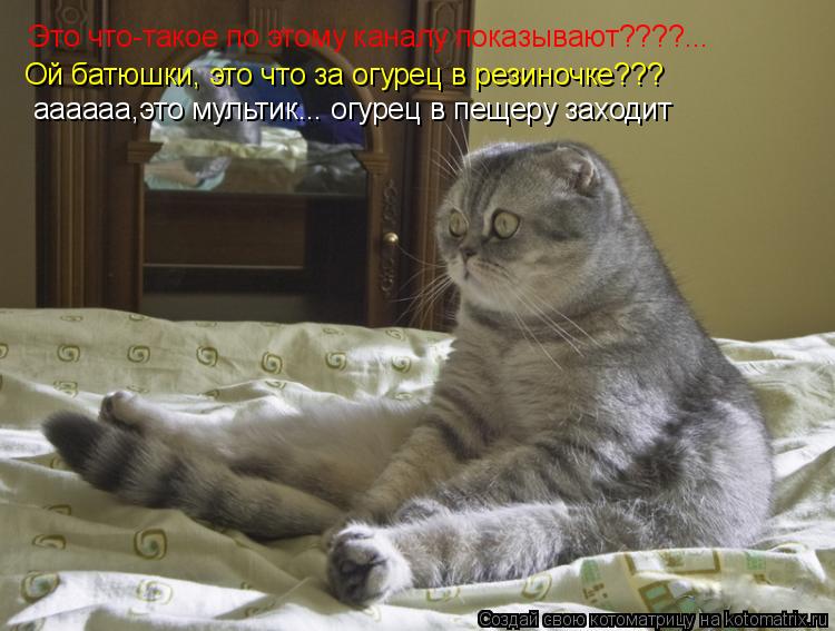 Котоматрица: Это что-такое по этому каналу показывают????...   Ой батюшки, это что за огурец в резиночке??? аааааа,это мультик... огурец в пещеру заходит
