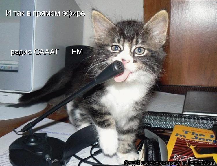 Котоматрица: И так в прямом эфире радио CAAAT      FM