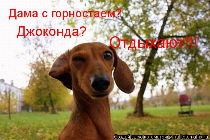 Котоматрица: Дама с горностаем? Джоконда? Отдыхают!!!