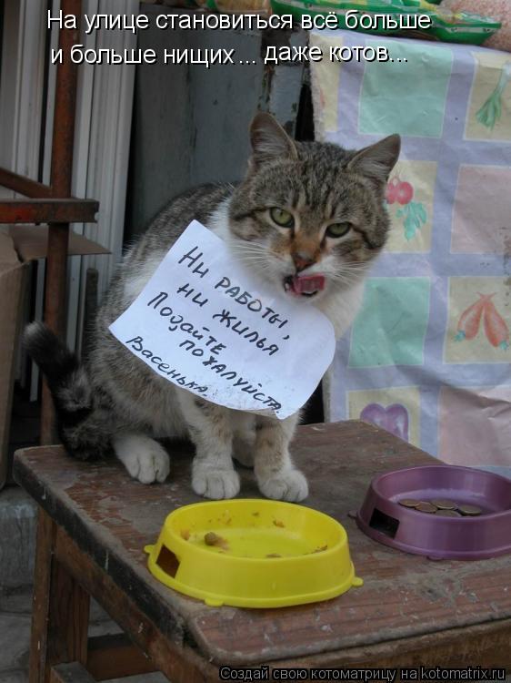 Котоматрица: На улице становиться всё больше и больше нищих ... даже котов...