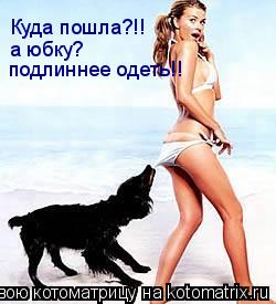 Котоматрица: Куда пошла?!! а юбку? подлиннее одеть!!