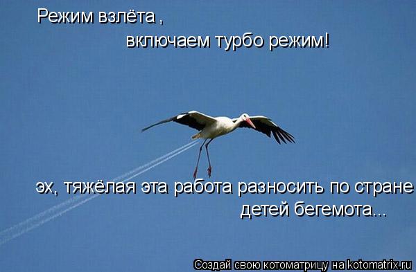 Котоматрица: Режим взлёта , включаем турбо режим! эх, тяжёлая эта работа разносить по стране детей бегемота...