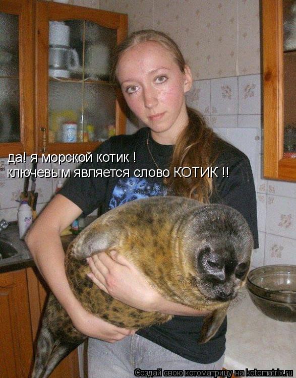 Котоматрица: да! я морской котик !  ключевым является слово КОТИК !!