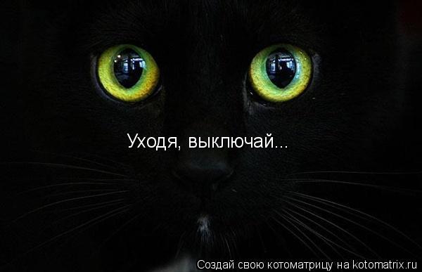 Котоматрица: Уходя, выключай...