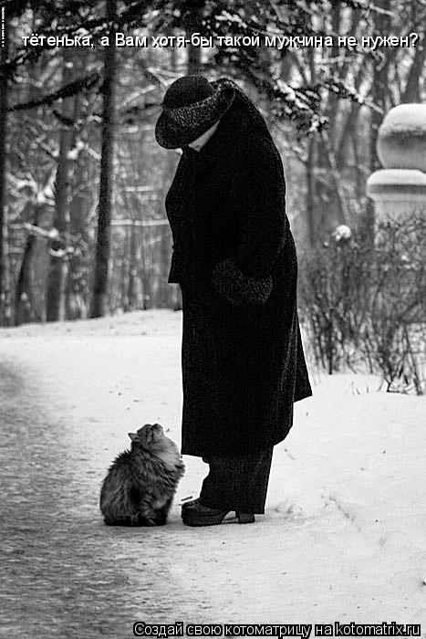 тётенька, а Вам хотя-бы такой мужчина не нужен?... Котоматрица: тётенька, а Вам хотя-бы такой мужчина не нужен?