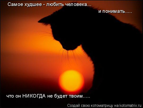 Котоматрица: Самое худшее - любить человека... и понимать..... что он НИКОГДА не будет твоим.....