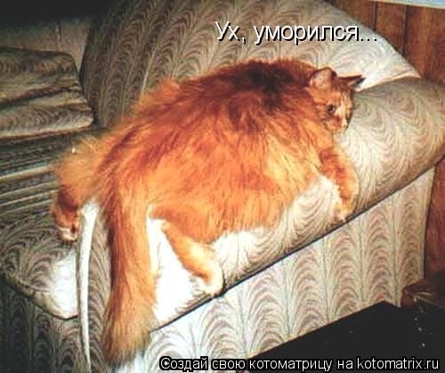 Котоматрица: Ух, уморился...