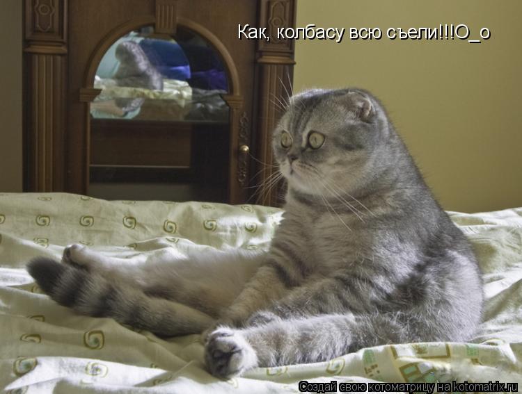 Котоматрица: Как, колбасу всю съели!!!О_о