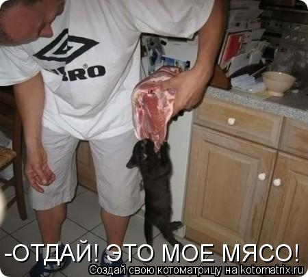 Котоматрица: -ОТДАЙ! ЭТО МОЕ МЯСО!