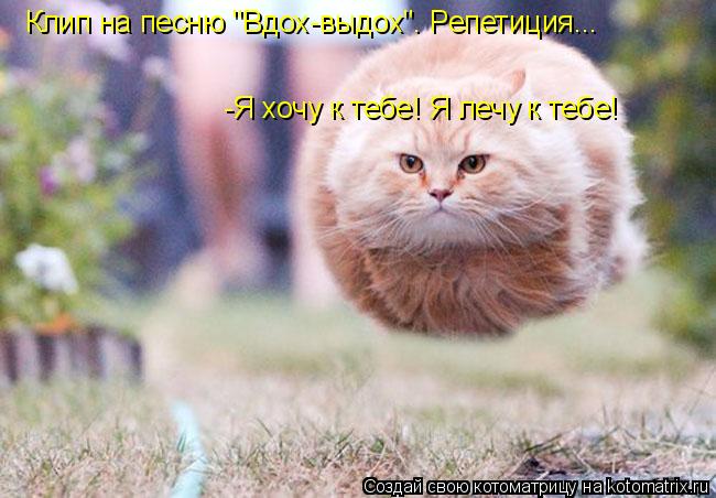 Котоматрица: Клип на песню "Вдох-выдох". Репетиция... -Я хочу к тебе! Я лечу к тебе!