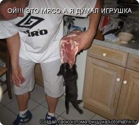 Котоматрица: ОЙ!!! ЭТО МЯСО А Я ДУМАЛ ИГРУШКА