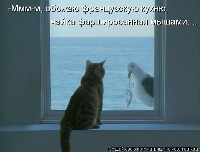 Котоматрица: -Ммм-м, обожаю французскую кухню, чайка фаршированная мышами....