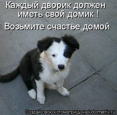 Котоматрица: Каждый дворик должен  иметь свой домик ! Возьмите счастье домой