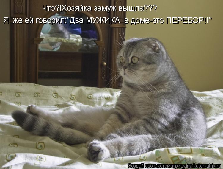 Котоматрица: Что?!Хозяйка замуж вышла??? Я  же ей говорил:"Два МУЖИКА  в доме-это ПЕРЕБОР!!"