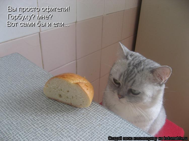 Котоматрица: Вы просто офигели! Горбуху? мне? Вот сами бы и ели...