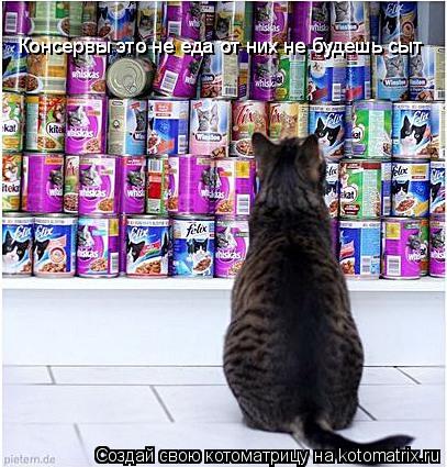 Котоматрица: Консервы это не еда от них не будешь сыт поэтому не ешь консерв отдай их лучше мне   Консервы это не еда от них не будешь сыт  Консервы это не 