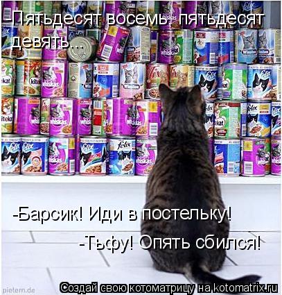Котоматрица: -Пятьдесят восемь, пятьдесят девять... -Тьфу! Опять сбился! -Барсик! Иди в постельку!