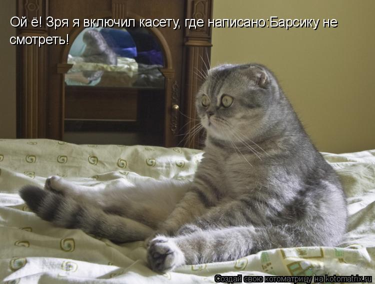Котоматрица: Ой ё! Зря я включил касету, где написано:Барсику не  смотреть!