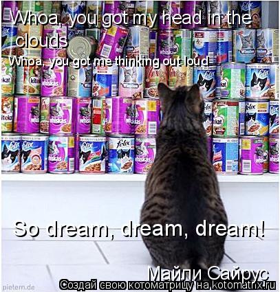 Котоматрица: Whoa, you got my head in the  clouds Whoa, you got me thinking out loud So dream, dream, dream! Майли Сайрус