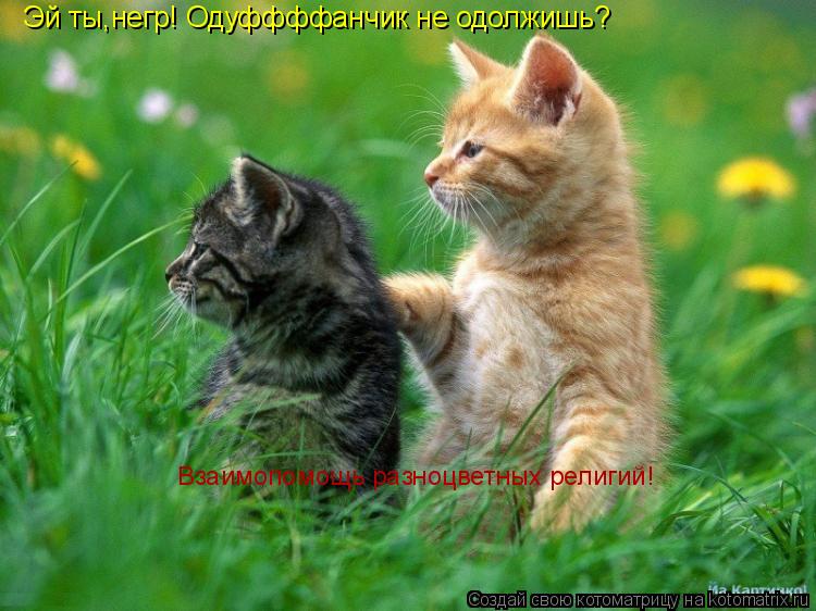 Котоматрица: Эй ты,негр! Одуффффанчик не одолжишь?  Взаимопомощь разноцветных религий!