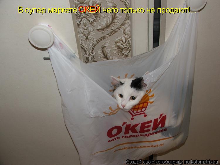 Котоматрица: В супер маркете ОКЕЙ чего только не продают!... ОКЕЙ
