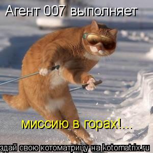 Котоматрица: Агент 007 выполняет  миссию в горах!...