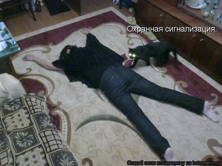Котоматрица: Охранная сигнализация.