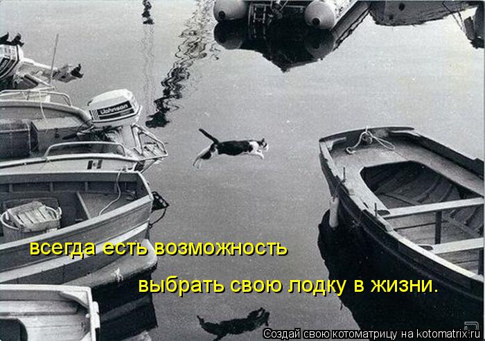 Котоматрица: всегда есть возможность  выбрать свою лодку в жизни.