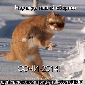 Котоматрица: Надежда нашей сборной СОЧИ-2014!