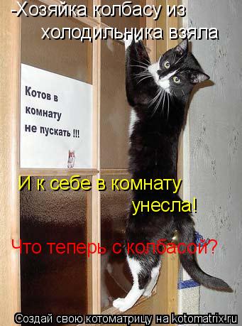 Котоматрица: -Хозяйка колбасу из  холодильника взяла И к себе в комнату унесла! Что теперь с колбасой?