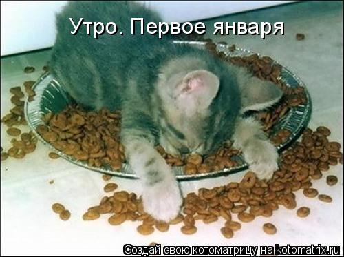 Котоматрица: Утро. Первое января