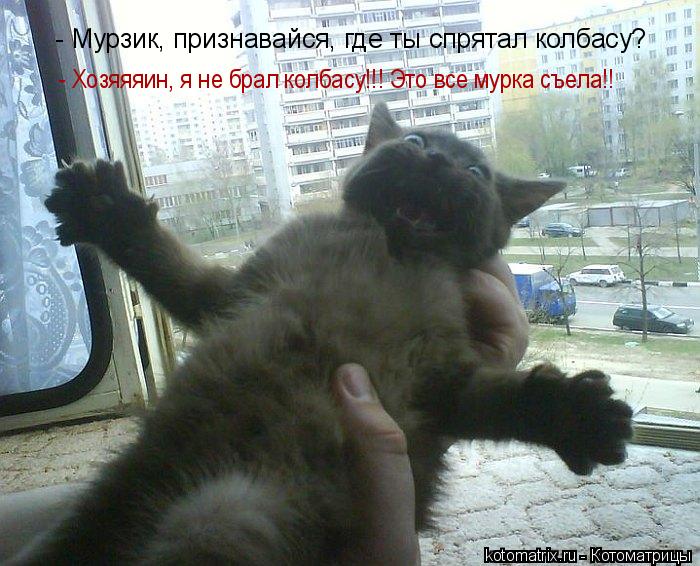 Котоматрица: - Мурзик, признавайся, где ты спрятал колбасу? - Хозяяяин, я не брал колбасу!!! Это все мурка съела!!
