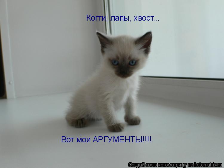 Котоматрица: Когти, лапы, хвост... Вот мои АРГУМЕНТЫ!!!!