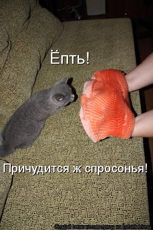 Котоматрица: Причудится ж спросонья! Епть!  ..