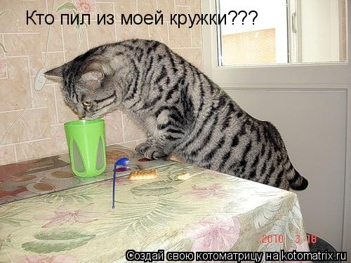 Котоматрица: Кто пил из моей кружки???