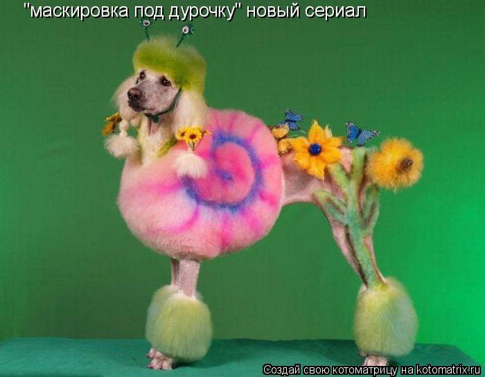 Котоматрица: "маскировка под дурочку" новый сериал