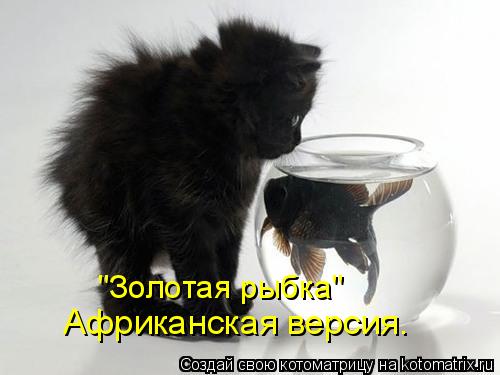 "Золотая рыбка" Африканская версия.... Котоматрица: "Золотая рыбка" Африканская версия.