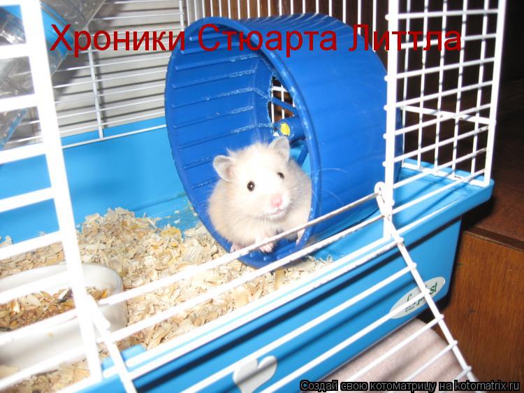 Котоматрица: Хроники Стюарта Литтла