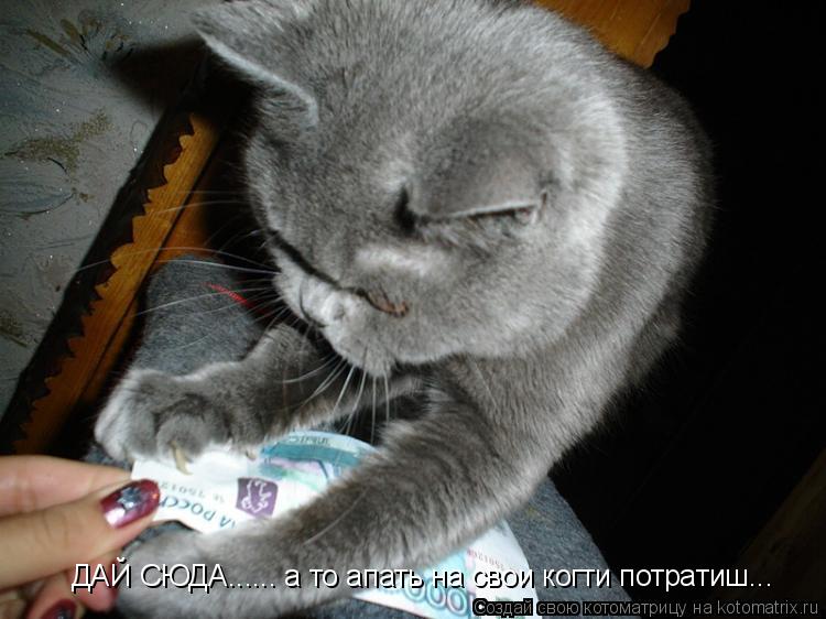 Котоматрица: ДАЙ СЮДА...... а то апать на свои когти потратиш...