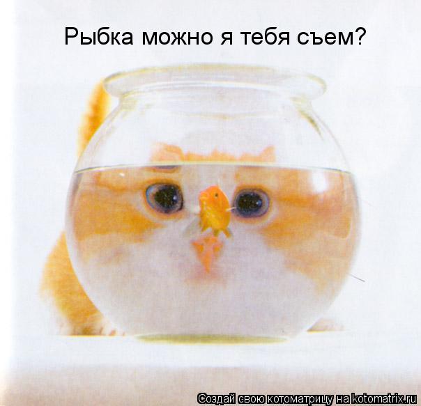 Котоматрица: Рыбка можно я тебя съем?