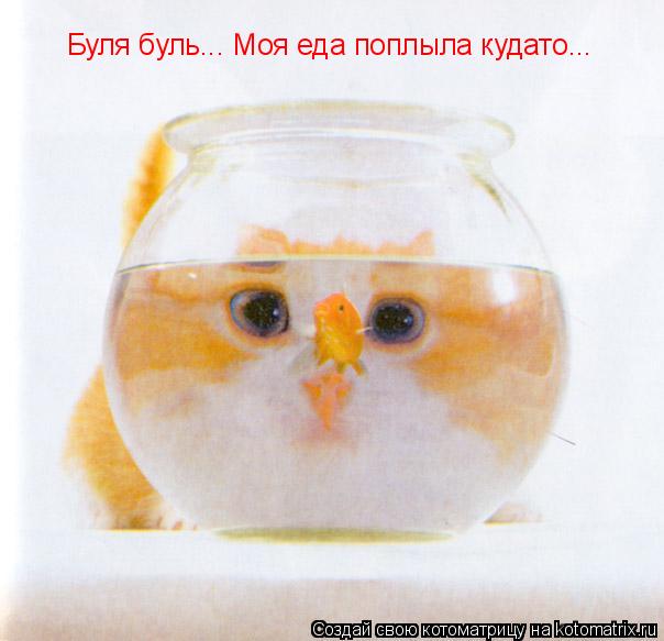 Котоматрица: Буля буль... Моя еда поплыла кудато...