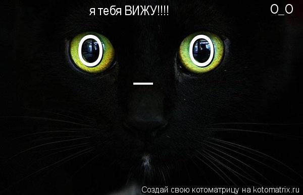 Котоматрица: я тебя ВИЖУ!!!! О_О О О _