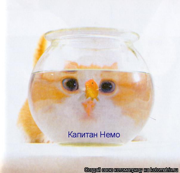 Котоматрица: Капитан Немо