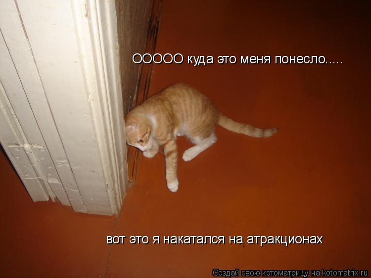 Котоматрица: ООООО куда это меня понесло..... вот это я накатался на атракционах